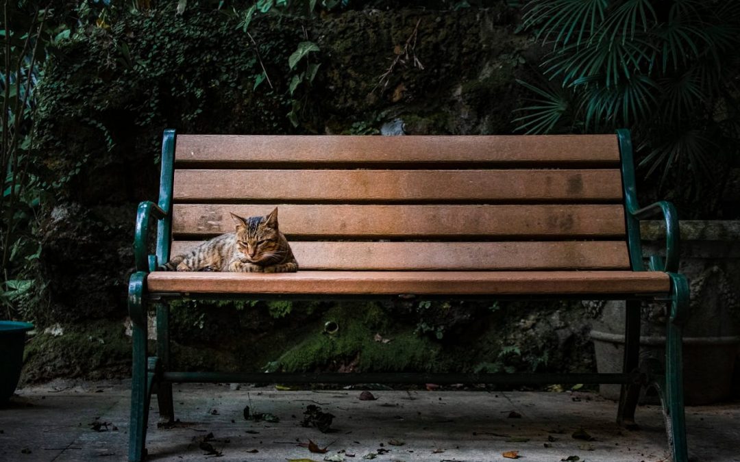 Sittdjup bänk – så hittar du den perfekta höjden